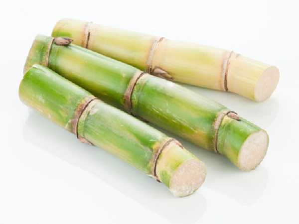 Mơ thấy cây mía nên đánh con số nào?