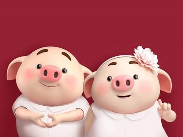 Mơ thấy heo là điềm gì, ghi ngay con lô nào chắc ăn?