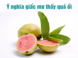 Giải mã giấc mơ thấy quả ổi điềm báo lành hay dữ? Đánh con gì chính xác?