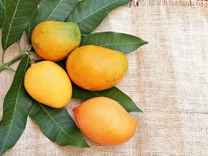 Mơ thấy quả xoài: Giải mã giấc mơ thấy quả xoài đánh con gì chính xác?