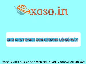 Chủ Nhật đánh con gì? Đánh số tô số mấy XSMB – XSMN – XSMT