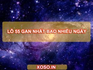 Lô 55 gan nhất là bao nhiêu ngày? Lô kép 55 gan cực đại bao lâu