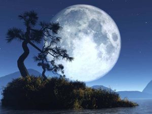Mơ thấy trăng đánh con gì trúng lớn?