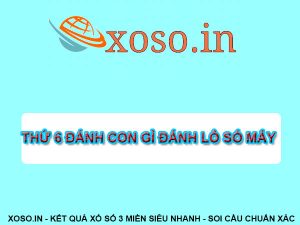 Thứ 6 đánh con gì? Đánh số tô số mấy XSMB – XSMN – XSMT
