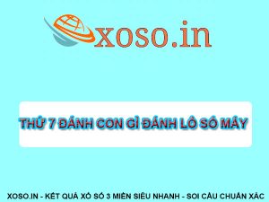 Thứ 7 đánh con gì? Đánh số tô số mấy XSMB – XSMN – XSMT