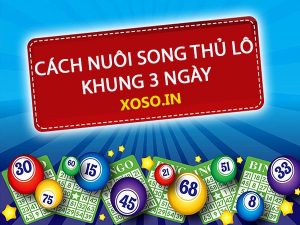 Thông tin nuôi song thủ lô khung 3 ngày chi tiết chính xác