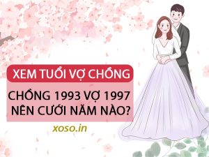 Chồng 1993 vợ 1997 nên cưới năm nào hợp tuổi?