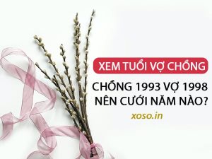 Chồng 1993 vợ 1998 có hợp không, nên cưới năm nào?
