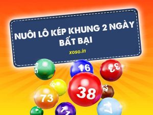 Thông tin nuôi lô kép khung 2 ngày bất bại cho người mới chơi