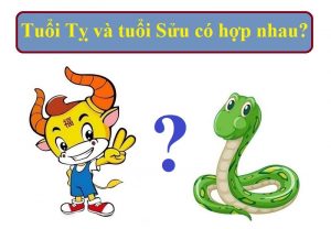 Bói Tuổi Sửu và tuổi Tỵ có hợp nhau không?