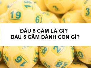 Đầu 5 thống kê hôm sau về con gì? Kinh nghiệm thống kê lô câm đầu 5 chuẩn nhất
