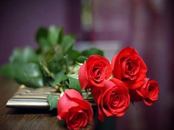 Giải mã giấc mơ thấy hoa hồng