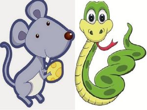 Xem tuổi tỵ và tuổi tý có hợp nhau không?