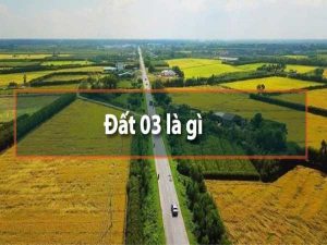 Đất 03 là gì và những thông tin cần nắm về đất 03