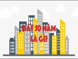 Đất 50 năm là gì? Các quy định về đất 50 năm?
