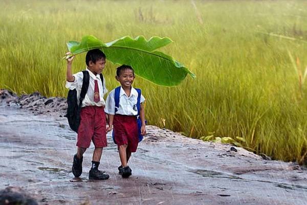 mơ thấy đi học