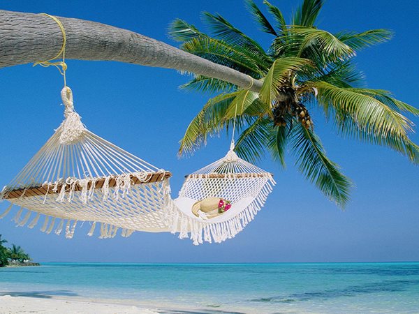 Điều này có thể phản ánh mong muốn về sự gắn bó Điều này có thể phản ánh mong muốn về sự gắn bó