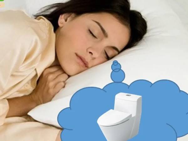 Điềm báo của giấc mơ thấy nhà vệ sinh theo khoa học