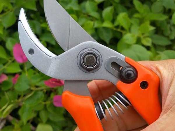 Giấc mơ thấy cái kéo báo hiệu điều gì