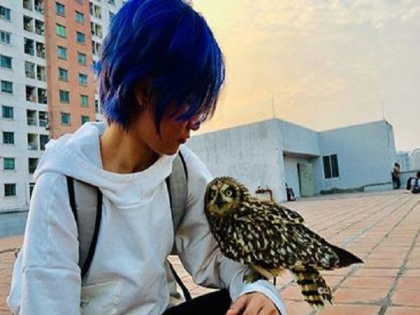 Con số may mắn liên quan khi đi đường gặp cú mèo