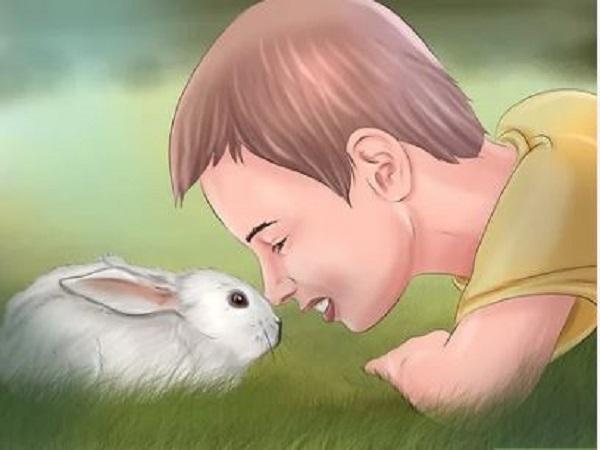Đi đường gặp thỏ có phải điềm lành, con số may mắn