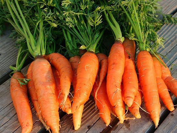 Ngủ mơ thấy củ cà rốt dự báo điềm gì trong tương lai?