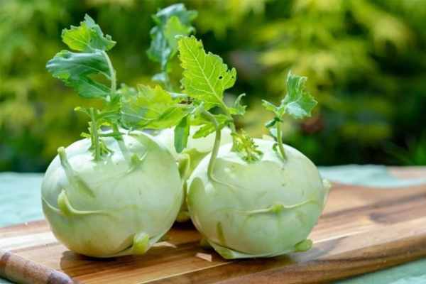 Mơ thấy củ su hào: Điềm báo gì về sự nghiệp sắp tới?
