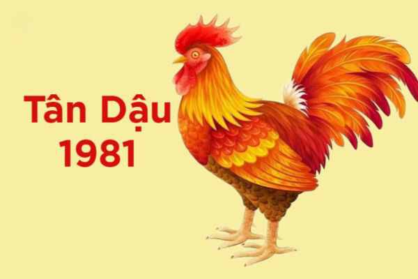 Tuổi Tân Dậu 1981 hợp với số nào theo quan niệm dân gian
