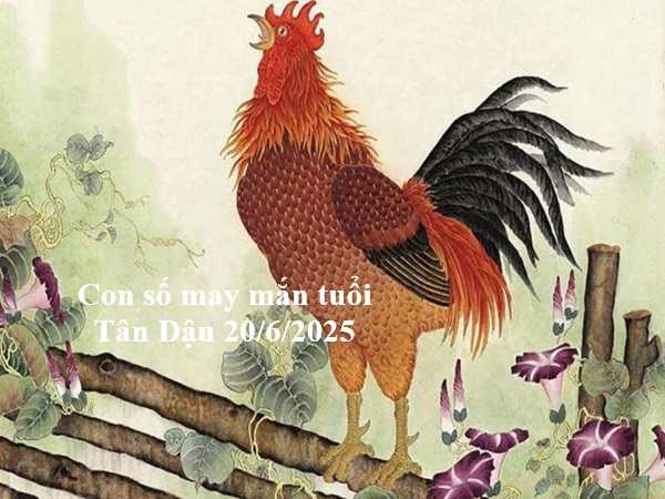 Tăng may mắn tuổi Tân Dậu cùng con số hên 20/6/2025