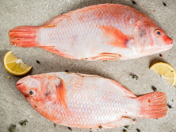 Ngủ mơ thấy cá diêu hồng có phải tài lộc sắp đến?