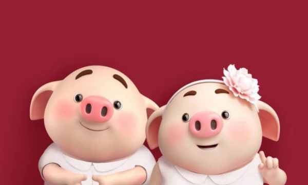 Số may mắn tuổi Hợi 23/7/2025 giúp đổi đời không?