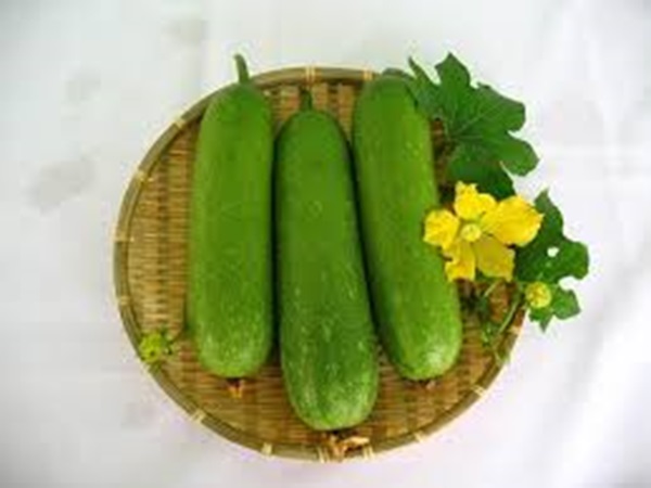  Mơ thấy quả bầu dưới đất