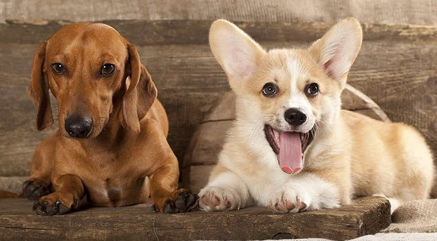 Mơ thấy mình có người yêu là điềm gì, tốt hay xấu? Mơ thấy mình có người yêu là điềm gì, tốt hay xấu?