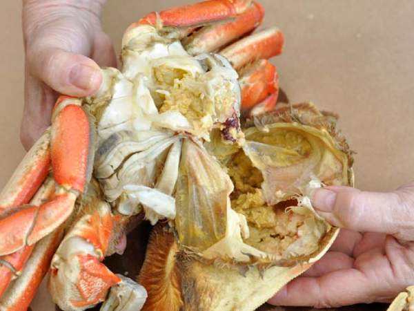 Giải mã giấc mơ thấy ăn cua dưới góc nhìn tâm lý học