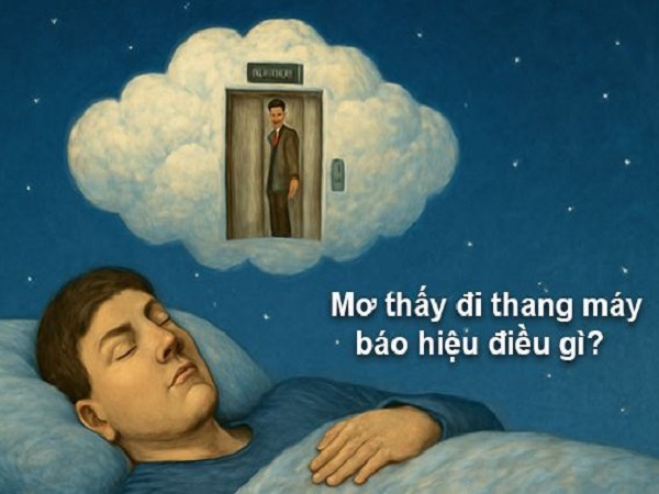 Nằm mơ thấy đi thang máy tốt hay xấu, con số gì may mắn Nằm mơ thấy đi thang máy tốt hay xấu, con số gì may mắn