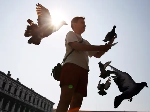 Bật mí nằm mơ thấy chim bay vào người số gì vượng phát? Bật mí nằm mơ thấy chim bay vào người số gì vượng phát?