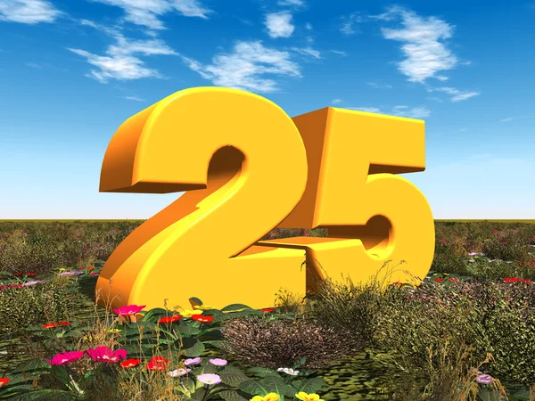 đề về 25 hôm sau về con gì