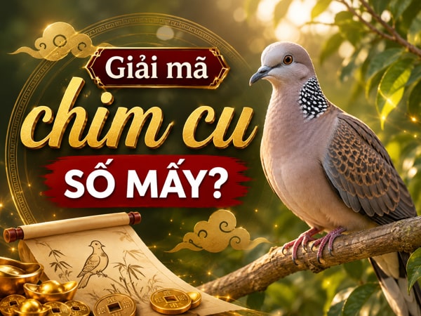 Luận giải ý nghĩa chim cu số mấy đón tài lộc gõ cửa?