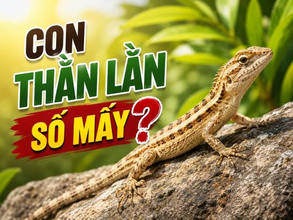 Phân tích chi tiết con thằn lằn số mấy có ý nghĩa gì