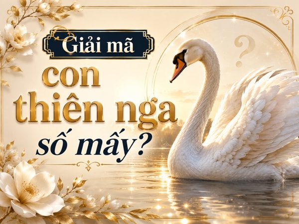 Luận giải ý nghĩa con thiên nga số mấy vượng phát tài lộc?